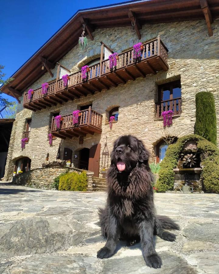 Hotel Mas D'En Roqueta Aravell Zewnętrze zdjęcie