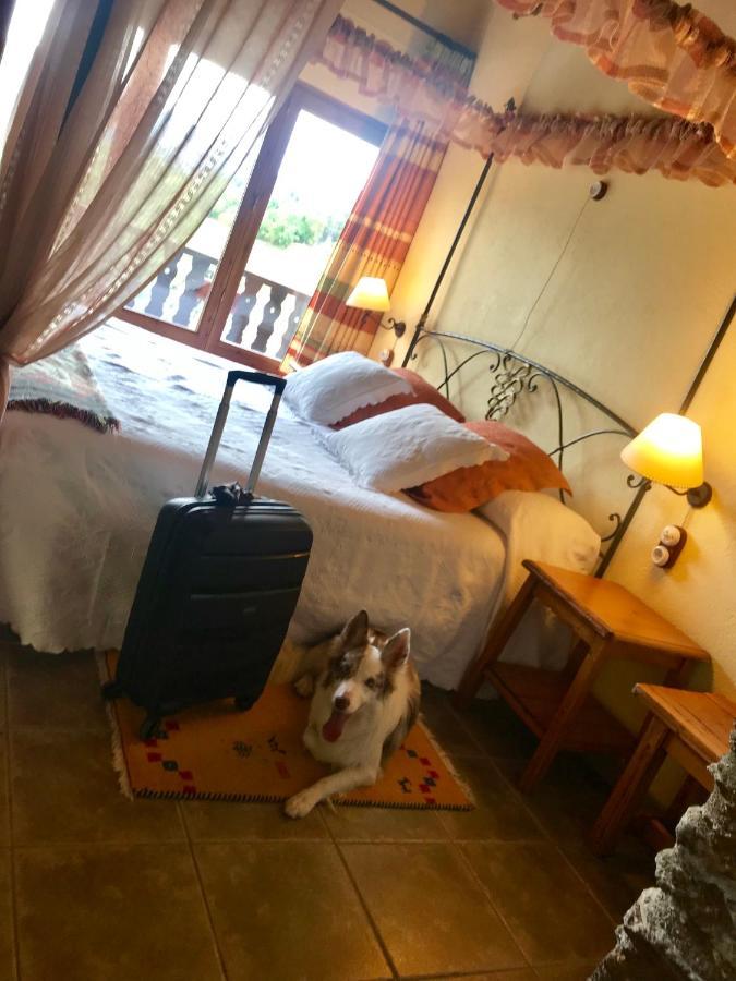 Hotel Mas D'En Roqueta Aravell Zewnętrze zdjęcie